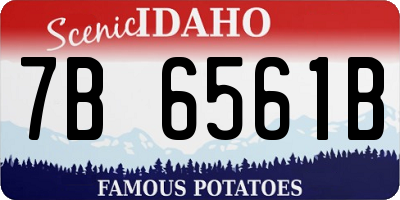 ID license plate 7B6561B