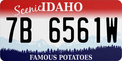 ID license plate 7B6561W
