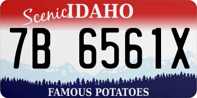 ID license plate 7B6561X