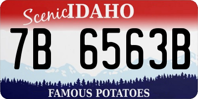 ID license plate 7B6563B