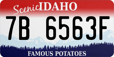 ID license plate 7B6563F