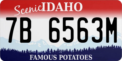 ID license plate 7B6563M