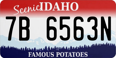 ID license plate 7B6563N