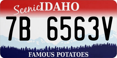 ID license plate 7B6563V