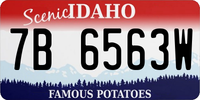 ID license plate 7B6563W
