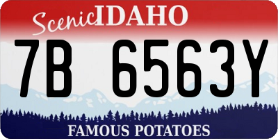 ID license plate 7B6563Y