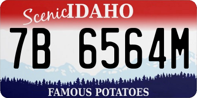 ID license plate 7B6564M