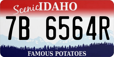 ID license plate 7B6564R