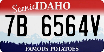 ID license plate 7B6564V