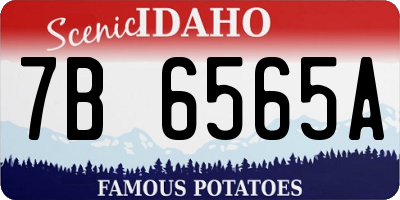 ID license plate 7B6565A