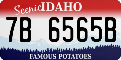 ID license plate 7B6565B