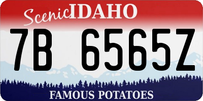 ID license plate 7B6565Z