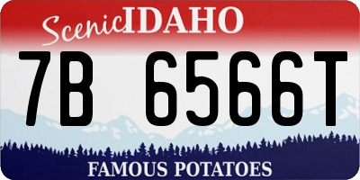 ID license plate 7B6566T