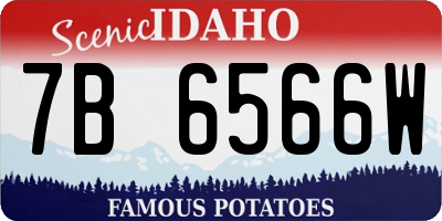 ID license plate 7B6566W
