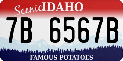 ID license plate 7B6567B
