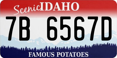 ID license plate 7B6567D