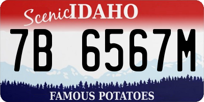 ID license plate 7B6567M