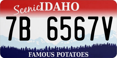 ID license plate 7B6567V