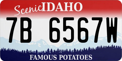 ID license plate 7B6567W