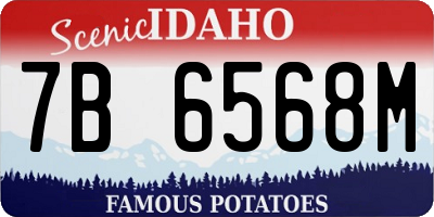 ID license plate 7B6568M