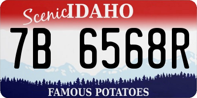 ID license plate 7B6568R
