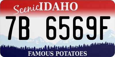 ID license plate 7B6569F