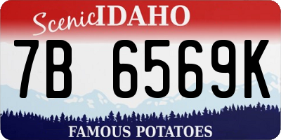 ID license plate 7B6569K