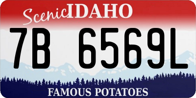 ID license plate 7B6569L