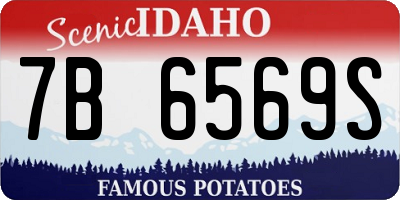 ID license plate 7B6569S
