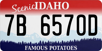 ID license plate 7B6570D