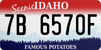 ID license plate 7B6570F