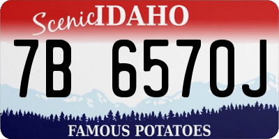 ID license plate 7B6570J