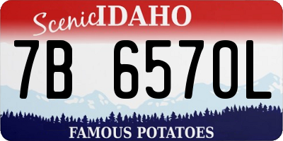 ID license plate 7B6570L
