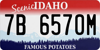 ID license plate 7B6570M