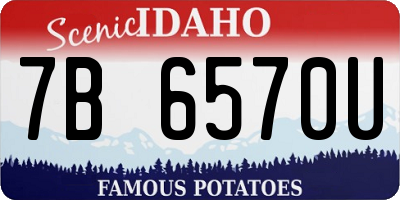ID license plate 7B6570U