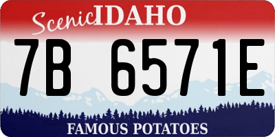 ID license plate 7B6571E