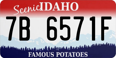ID license plate 7B6571F