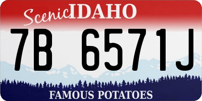 ID license plate 7B6571J