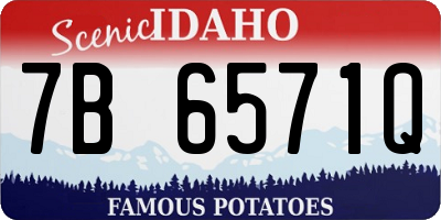 ID license plate 7B6571Q