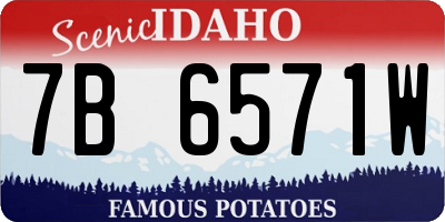 ID license plate 7B6571W