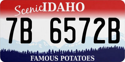 ID license plate 7B6572B