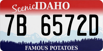 ID license plate 7B6572D