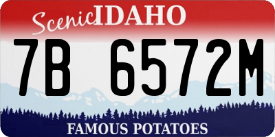 ID license plate 7B6572M
