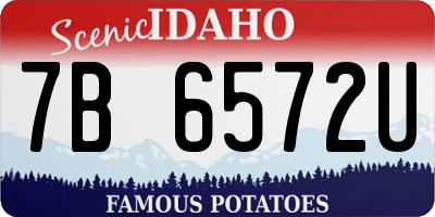 ID license plate 7B6572U