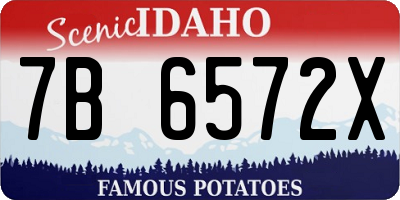 ID license plate 7B6572X