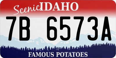 ID license plate 7B6573A