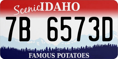 ID license plate 7B6573D