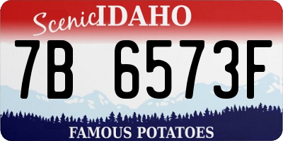 ID license plate 7B6573F