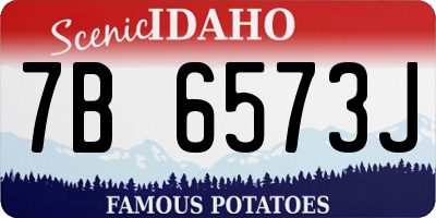 ID license plate 7B6573J
