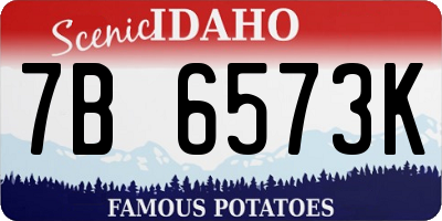 ID license plate 7B6573K